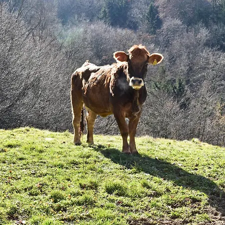 Appartement Landhof Nebel Sankt Andra-Hoch